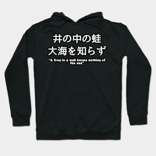 i no naka no kawazu taikai wo shirazu Hoodie